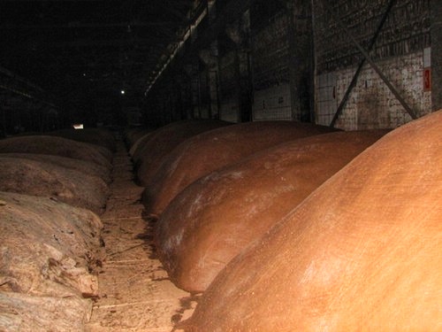 五粮液39度品鉴视频,五粮液出厂品鉴酒52度浓香型