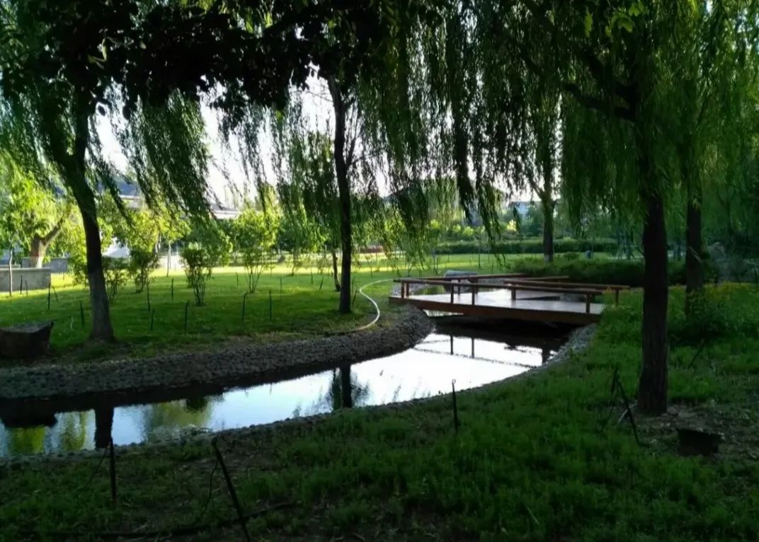 随心走旅游,宁夏自由行旅游攻略