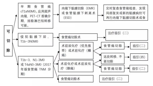 食管癌诊疗规范（2018年版）