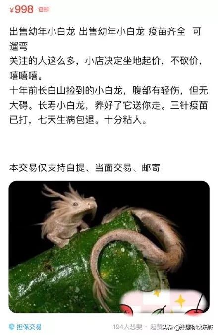 闲鱼卖神兽系列,闲鱼卖神兽的视频