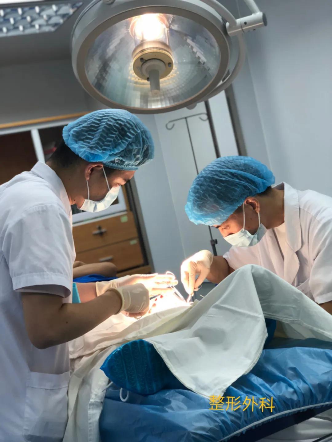 生命的坚守视频,生命的坚守