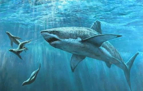 护肤品是日本的好用还是法国的,护肤品是本土版还是国际版好