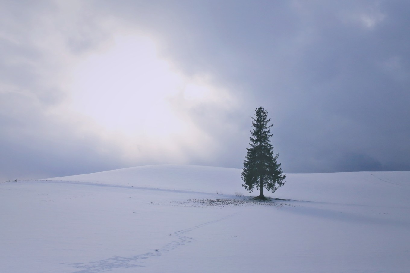 六月日本北海道风光,日本北海道几月去比较好