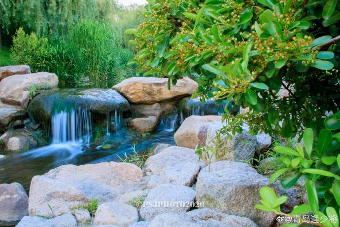 初秋的青岛有多美,初秋的青岛