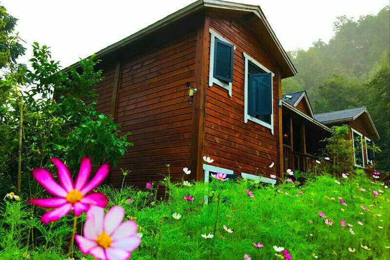 洛阳白云山避暑最佳景区,洛阳养子沟避暑胜地