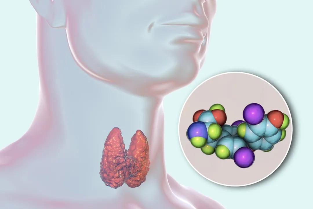 胸闷气短心慌可能是肺部问题吗,胸闷气短心悸是甲状腺疾病吗