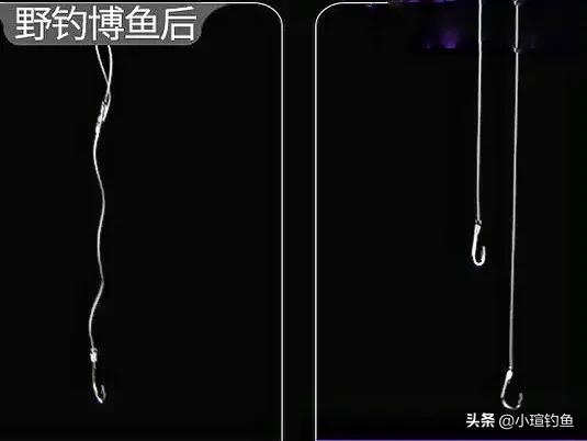 鱼线该怎么选,鱼线强度怎么选