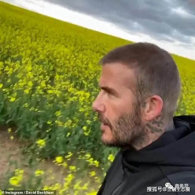 贝克汉姆冲上热搜视频,贝克汉姆热搜第一人是谁