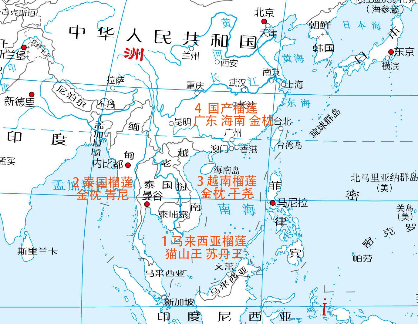 热带水果榴莲,热带水果之王是什么