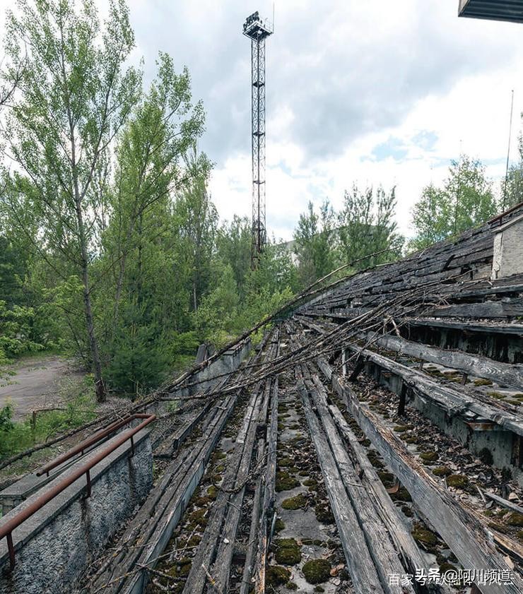 苏联有几支足球队,苏联足球队最后一次比赛
