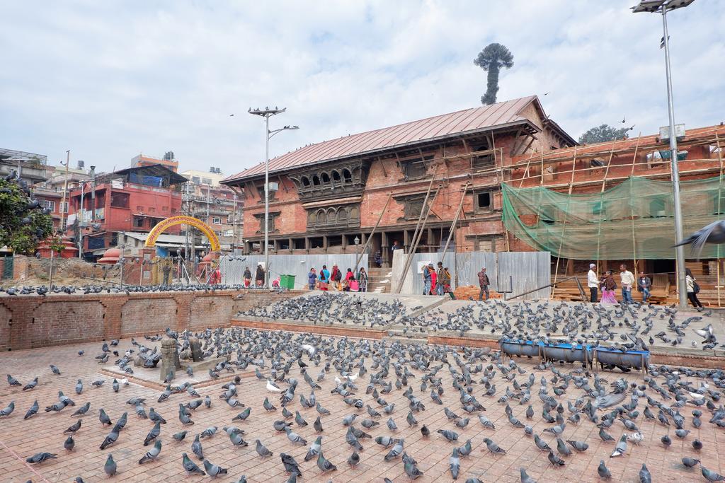 坐公交出国,坐公交可以环游中国么