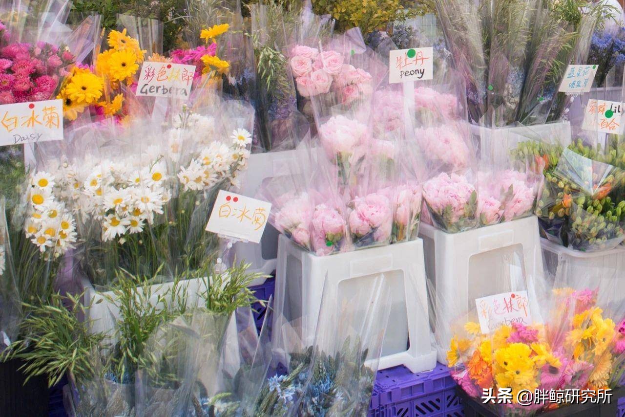 范丞丞杨颖欧阳娜娜鹿晗关晓彤,范丞丞宋茜参加的综艺是什么