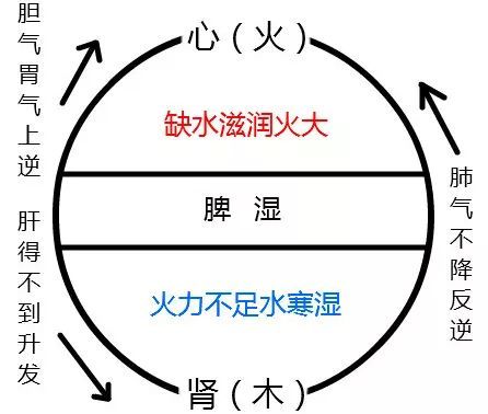 中医五行与五脏的关系,中医五行与五脏对应