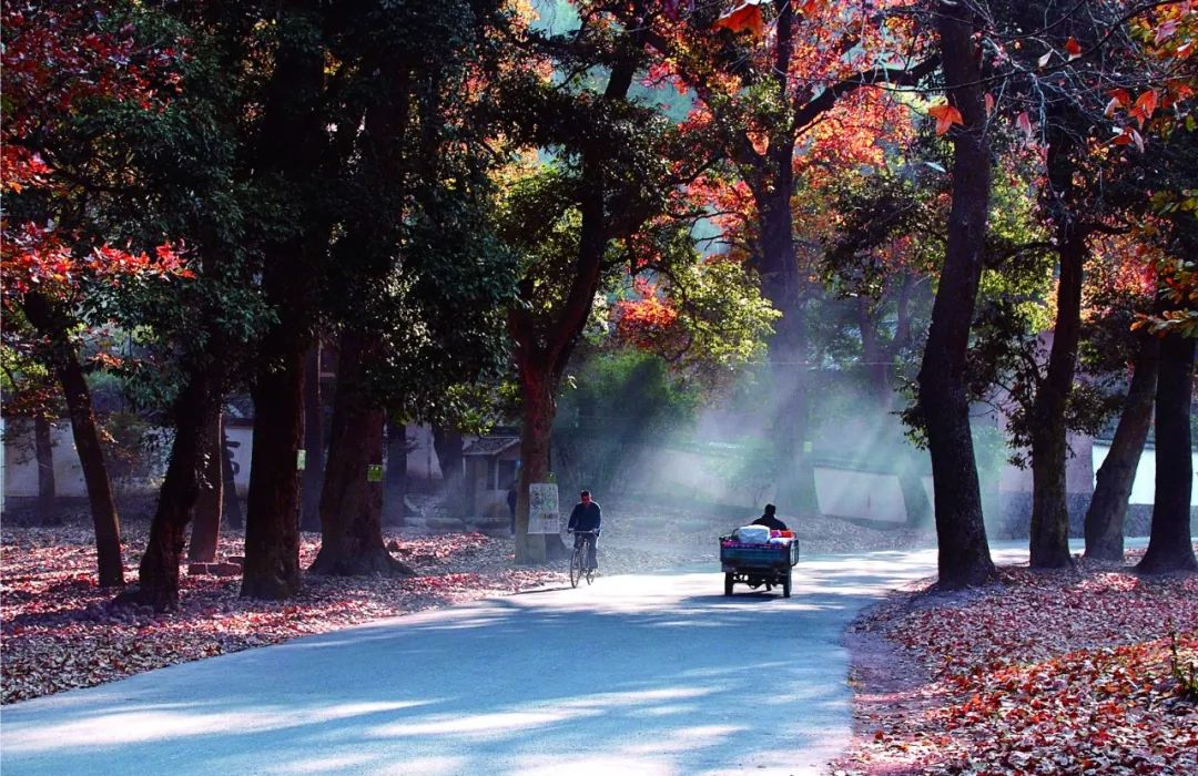 金华五一打卡景点推荐,金华最美村落在哪里
