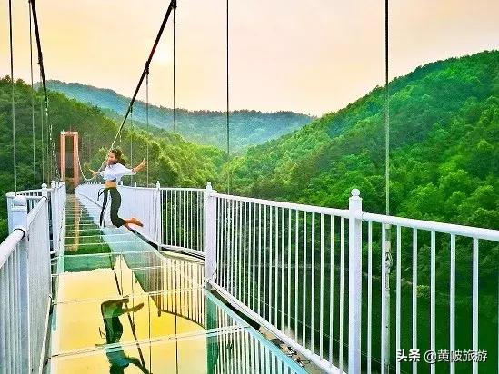 清凉寨樱花最佳赏花时间,清凉寨中华樱花