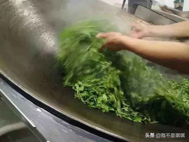 普洱茶真相揭秘切记不懂装懂,普洱茶切忌不懂装懂