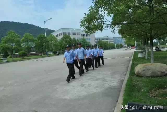 为什么家长选择好学校,为啥家长都爱选师范院校