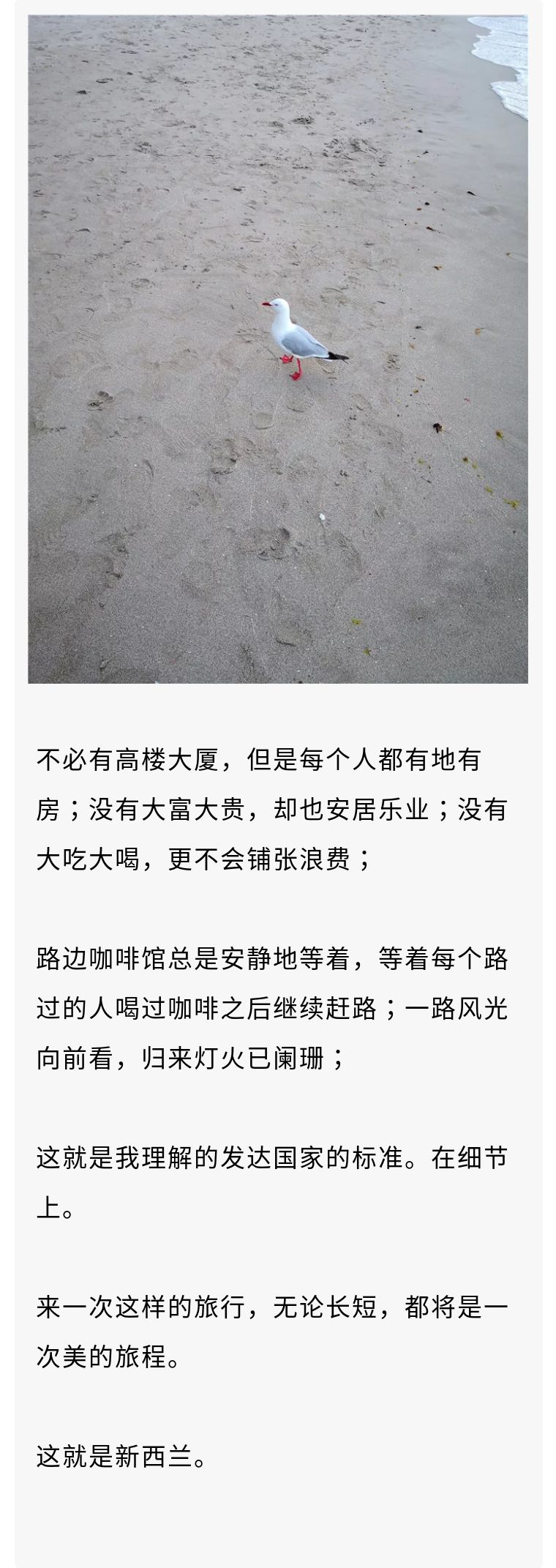 不明白新西兰为什么是发达国家,新西兰是发达国家吗有多少人啊