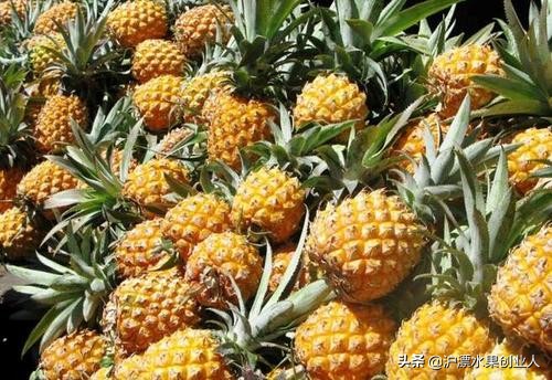 四五月份当季成熟的水果有哪些,推荐这九种当季水果千万别错过