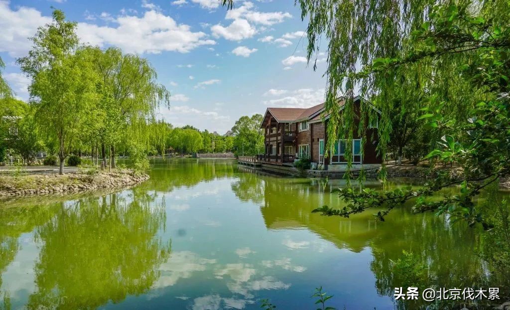 芒种至仲夏始最好的生活是什么,芒种好玩的地方