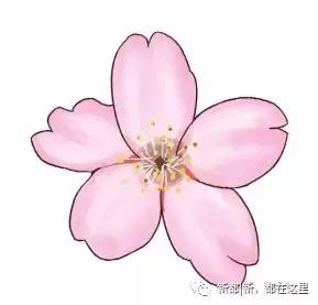 别样馫味！新都天府沸腾小镇，麻辣盛宴等你打卡