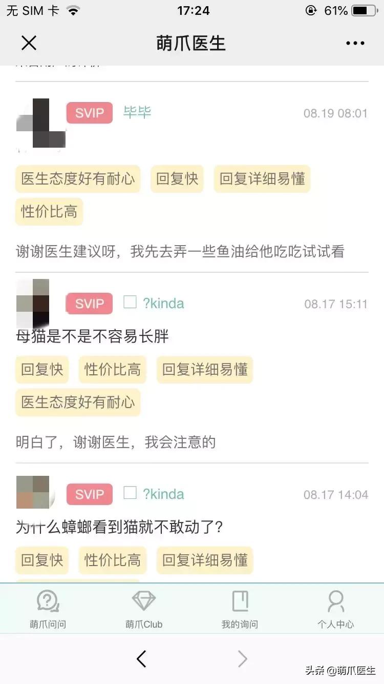 足不出户线上看诊,24小时猫病在线咨询