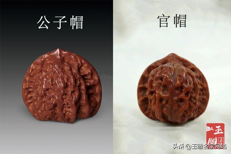 公子帽核桃有哪些品种,核桃公子帽和官帽的价值