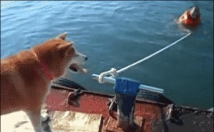 东哥的鬼片,东哥的电脑