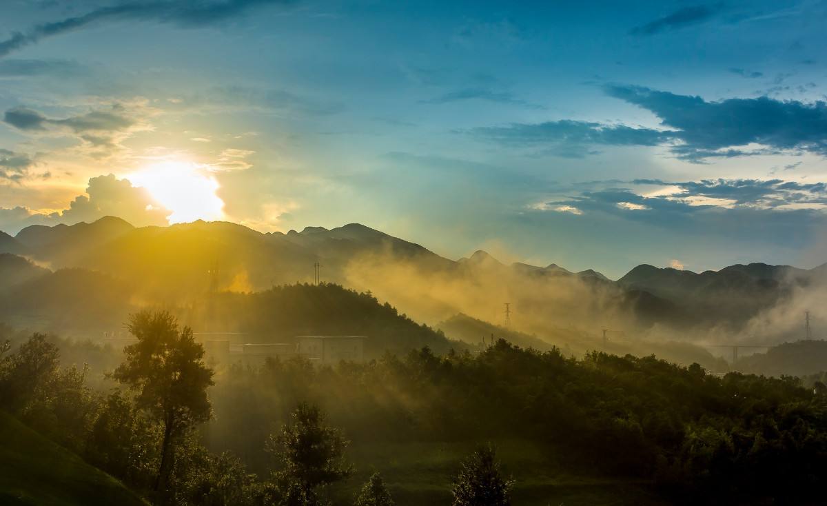 西红柿果实黄头的治疗方法,西红柿秧苗发黄如何挽救