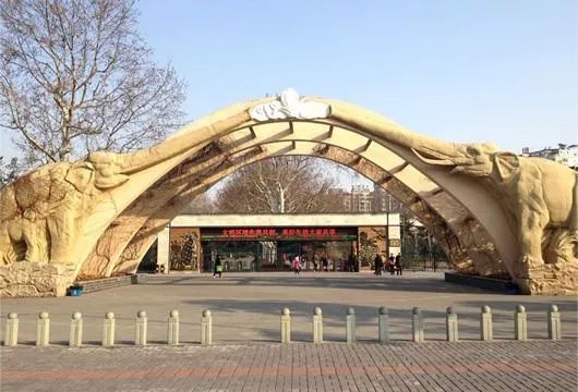 上海休闲娱乐好去处可以呆一整天,上海十大免费玩的地方