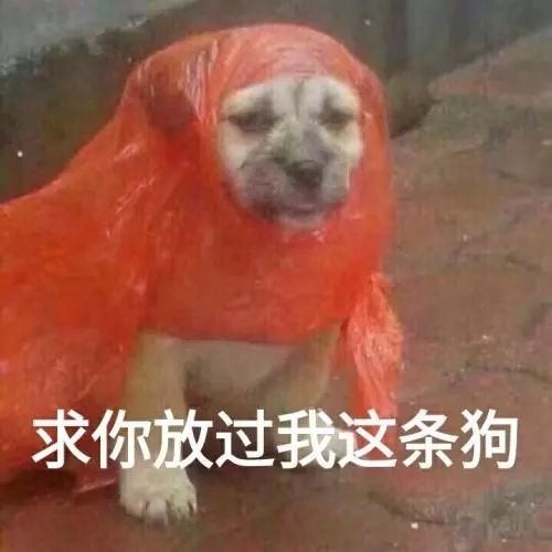 避雷的一万件网红产品,网上网红产品避雷
