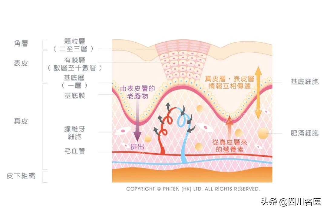 哪儿疼贴哪儿,膏药是不是哪儿疼贴哪儿