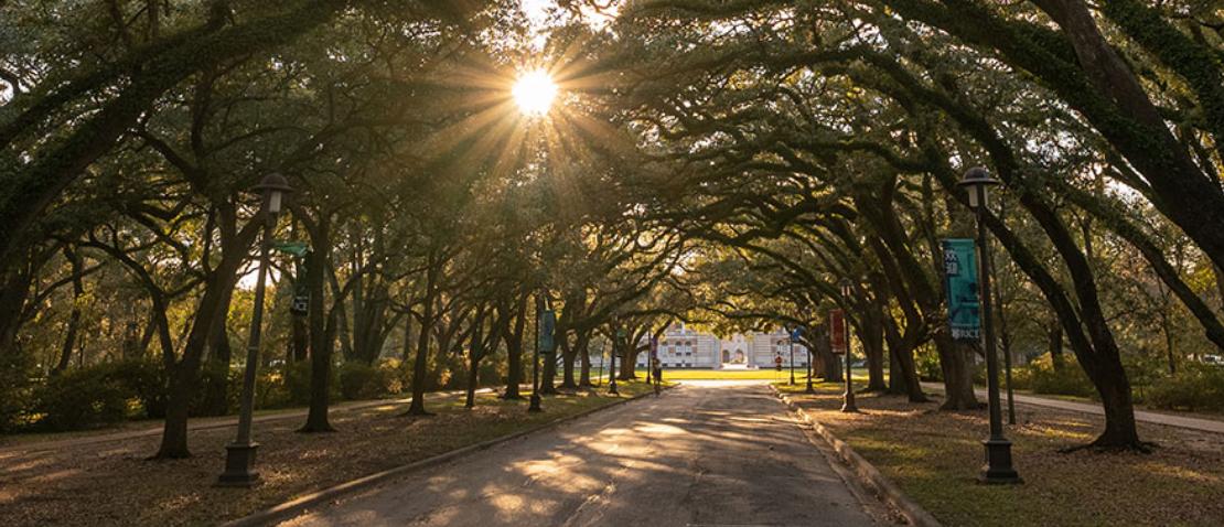 最新莱斯大学留学申请条件,莱斯大学美国本科申请条件