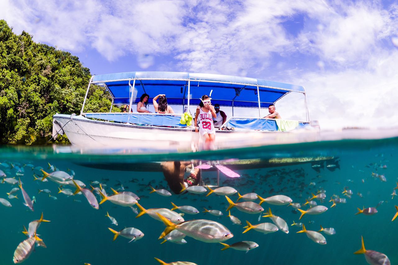 帕劳潜水旅游攻略,马尔代夫对比巴厘岛普吉岛帕劳