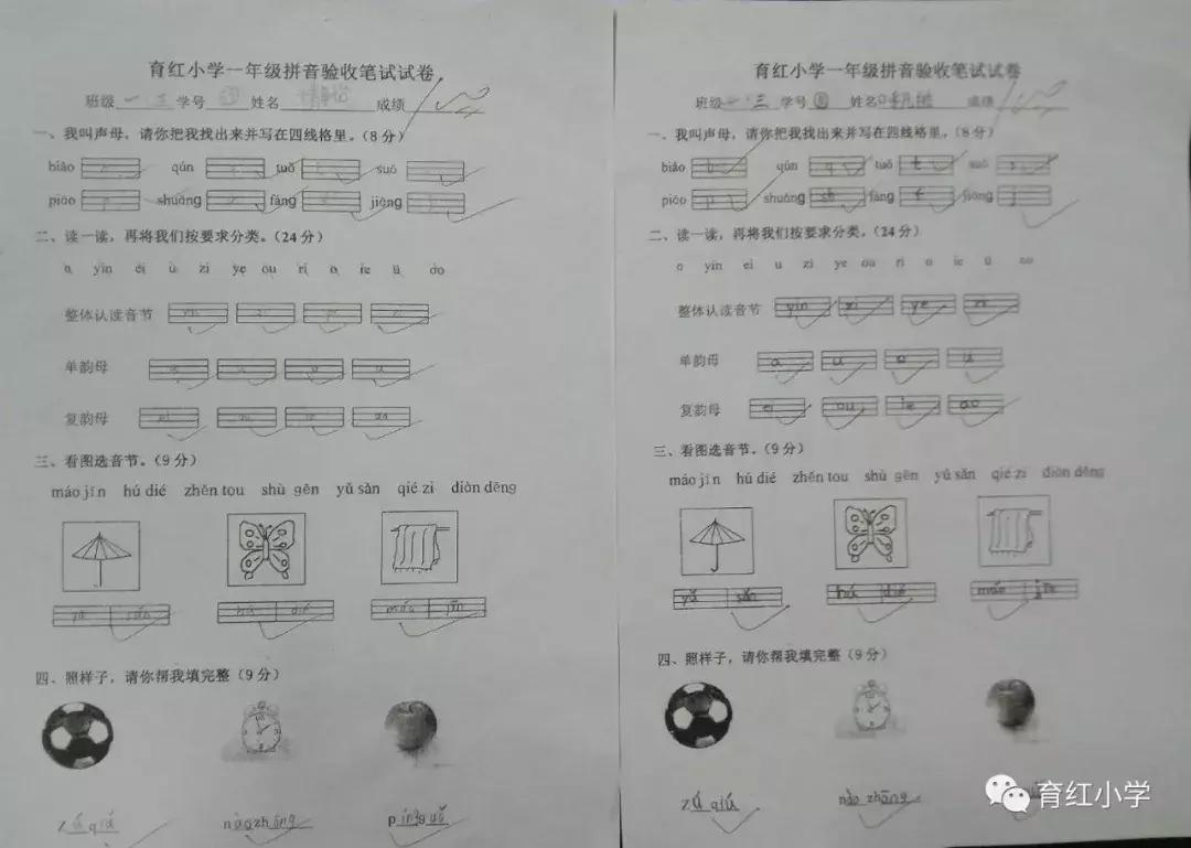 小学语文一年级音节拼写训练,汉语拼音素养评估一年级
