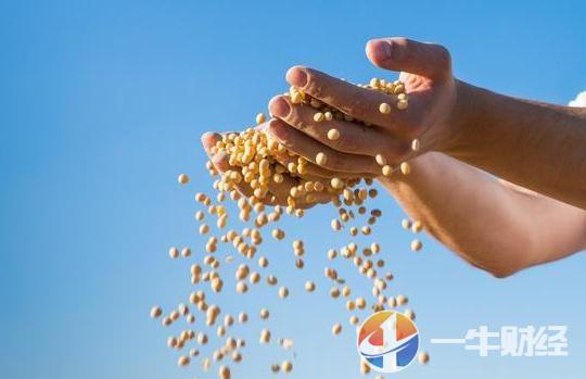 贸易行业销售新模式,贸易新业态国际化发展