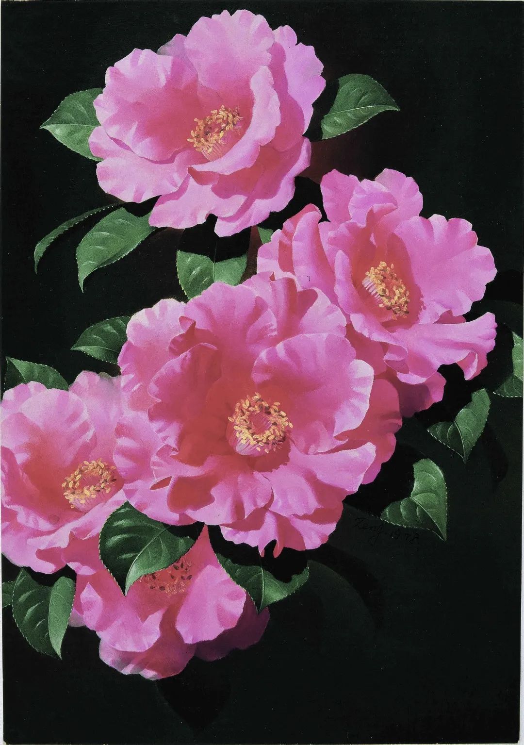 濒危稀有植物绘画,八大濒危珍稀植物