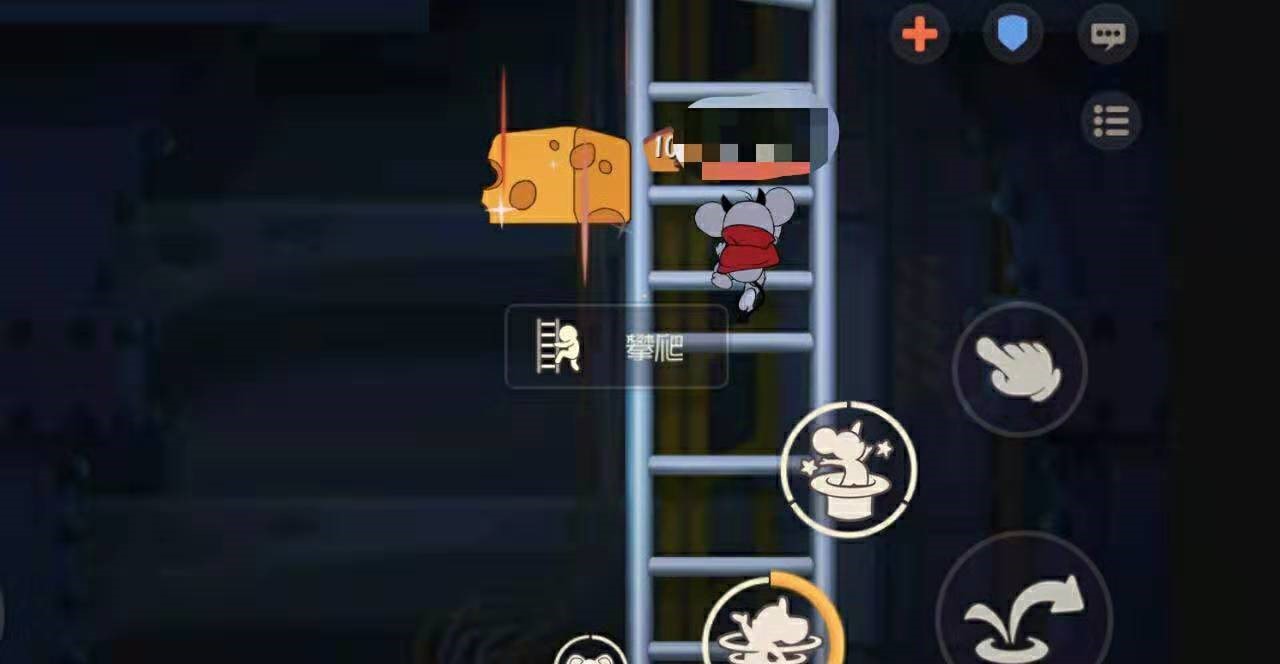 猫和老鼠恶魔泰菲大神局,猫和老鼠恶魔泰菲的知识卡搭配