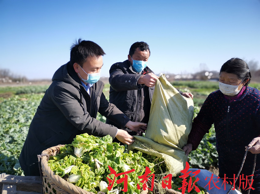 光山南向店政府,光山南向店乡政府