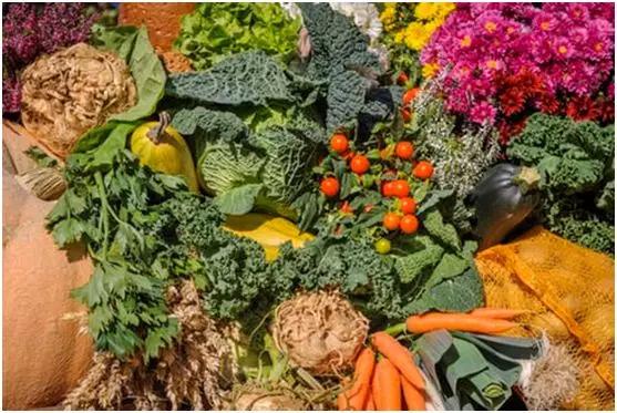 人到中年大肚子是缺什么营养,40岁大肚子怎么瘦最有效方法