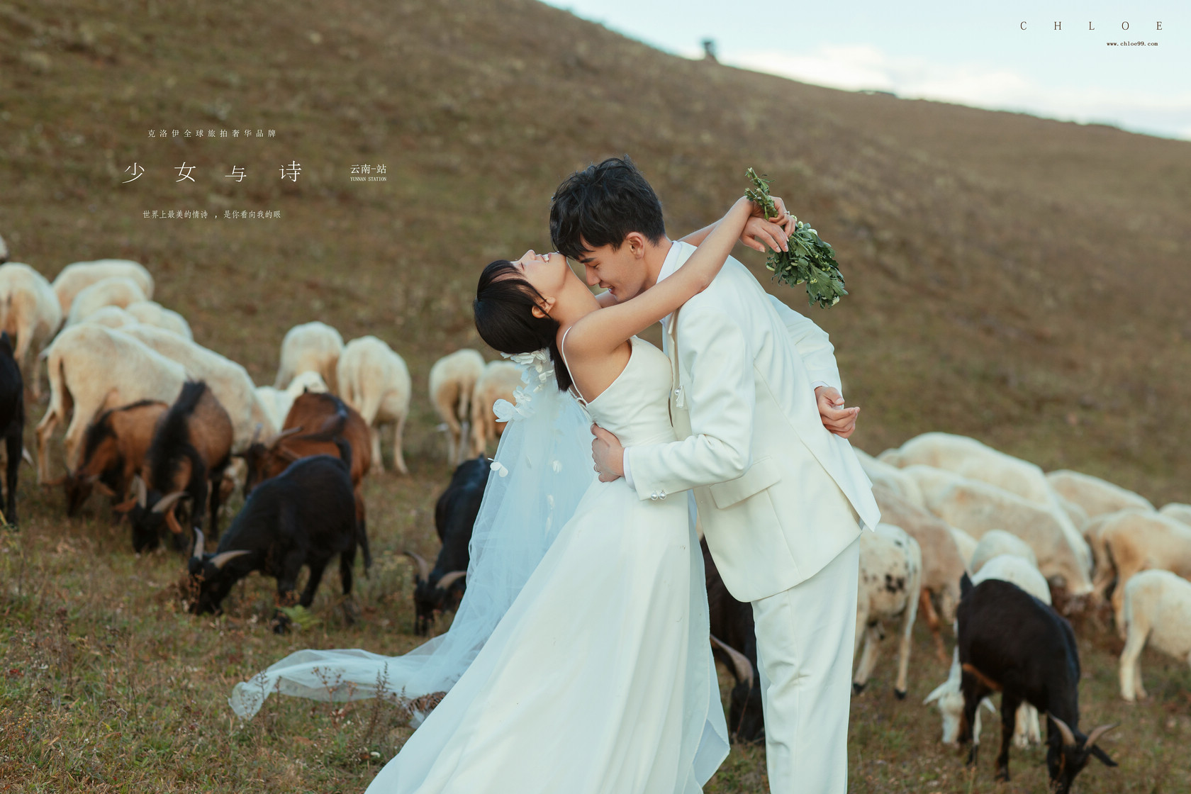 婚纱照选片的4个技巧及注意事项,婚纱照选片技巧及注意事项文字版