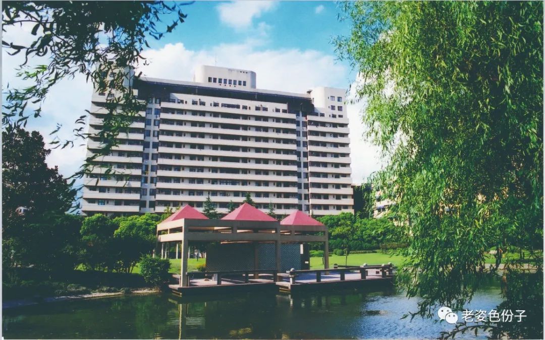 「六院故事」跟*党**走,办实事!上海市第六人民医院开创骨质疏松防治新局面