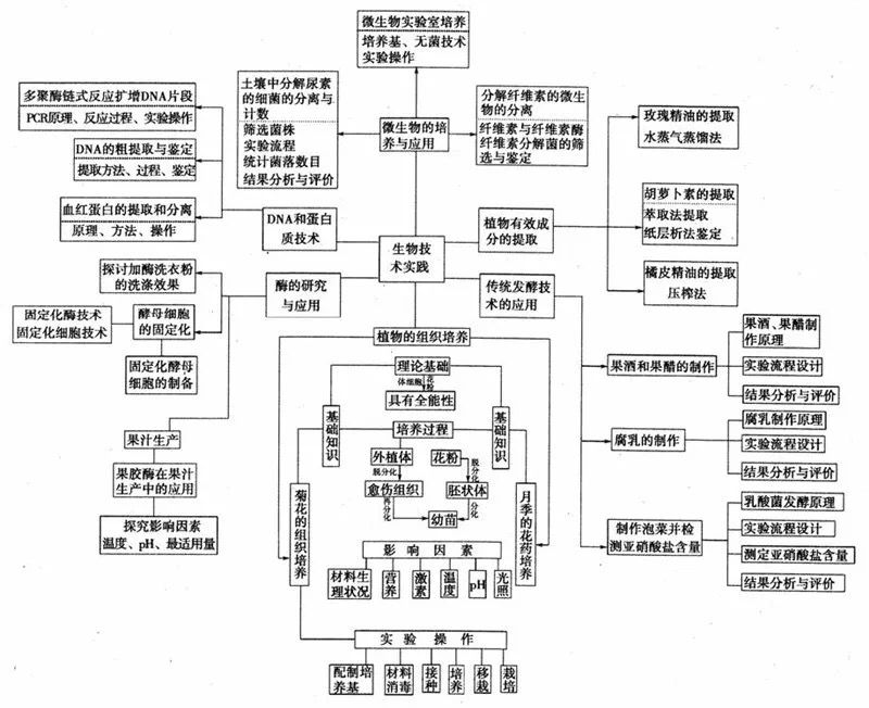 济南版初中生物中考知识点总复习,初中生物八年级上册知识点总复习