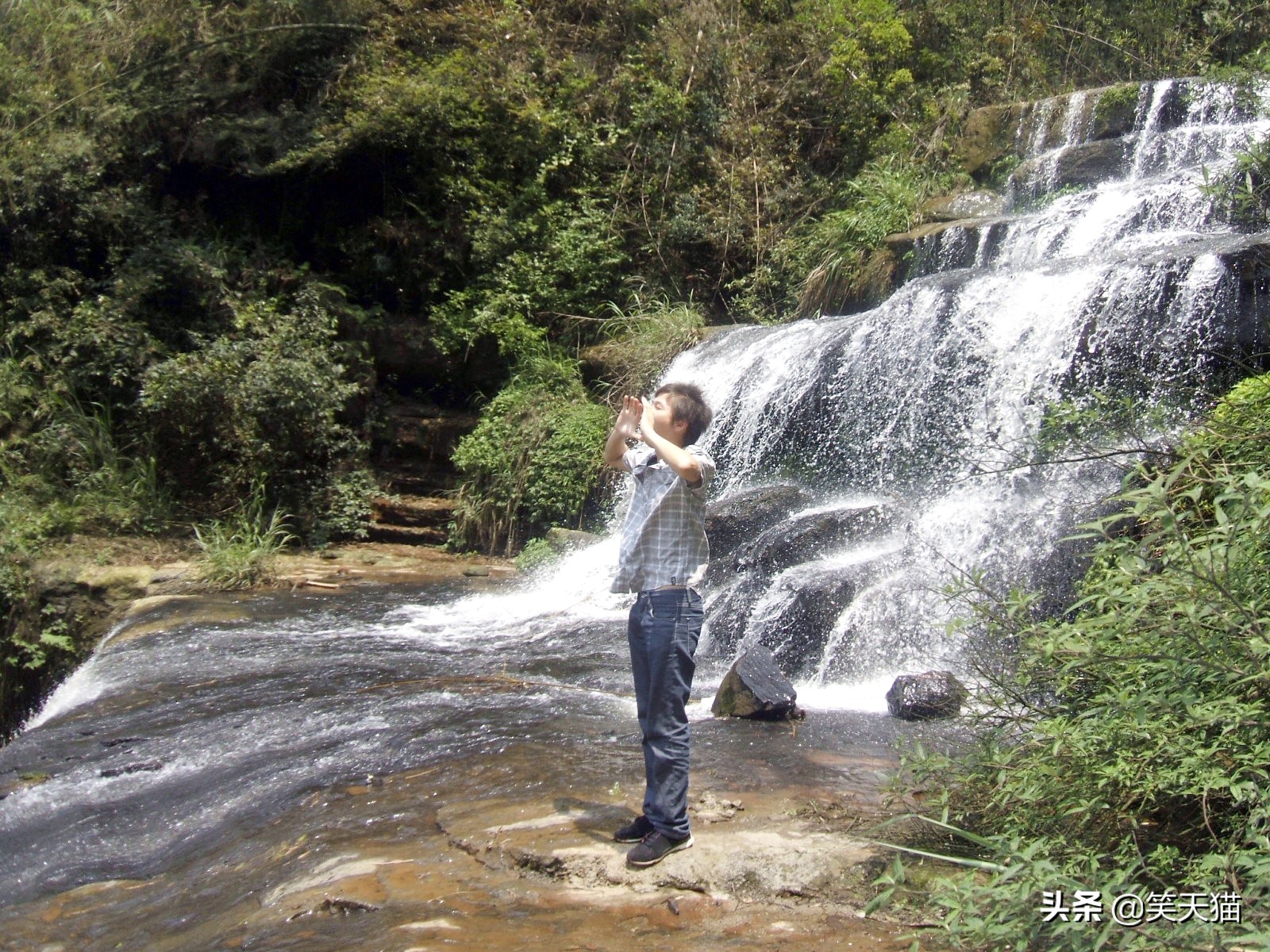 四川宜宾竹海风景,宜宾蜀南竹海全视频