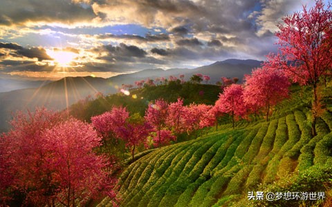 云南大理美丽的城市,大理一个让人魂牵梦绕的地方