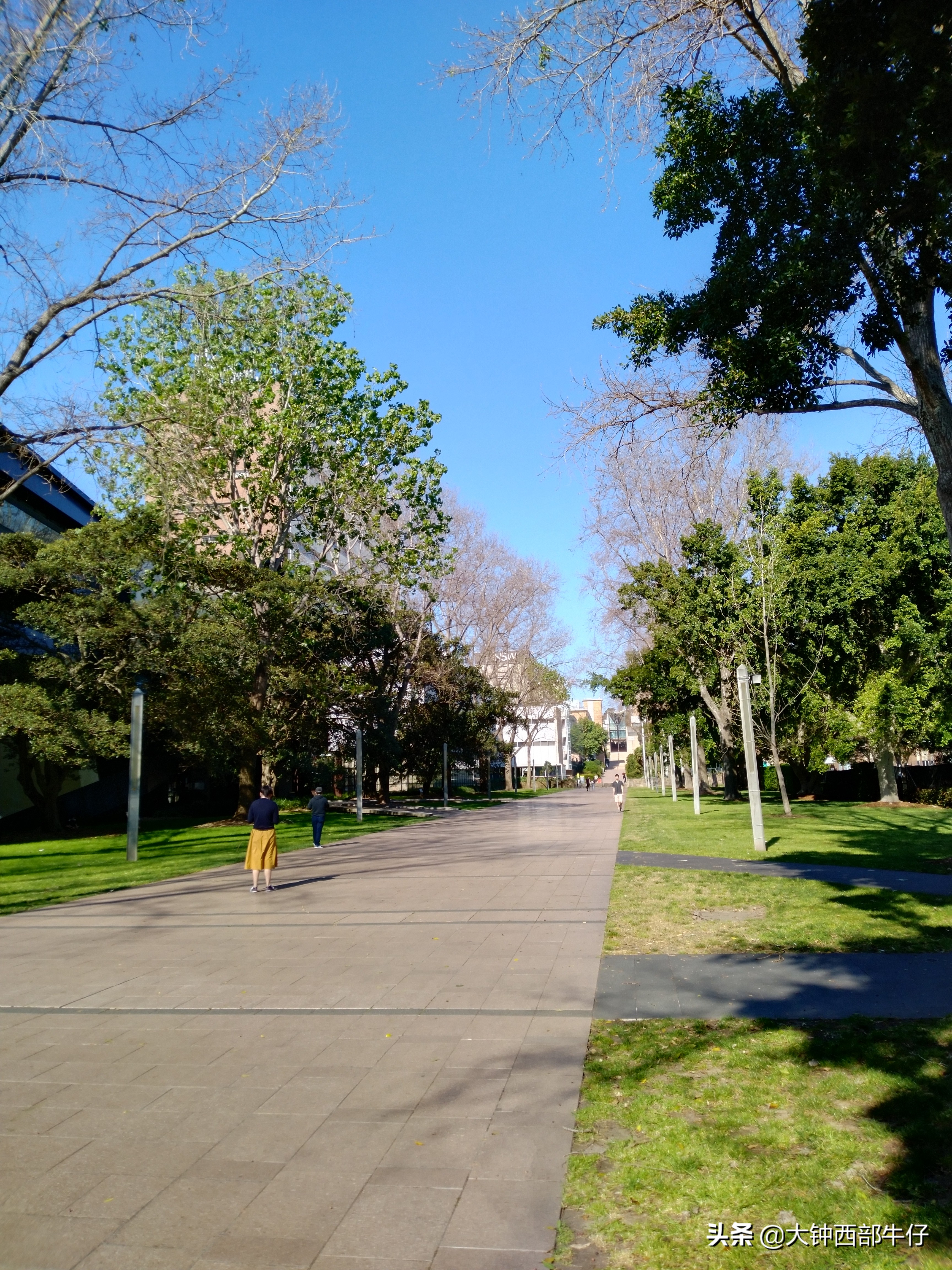 我逛了逛新南威尔士大学，这可是澳洲八大高校之一
