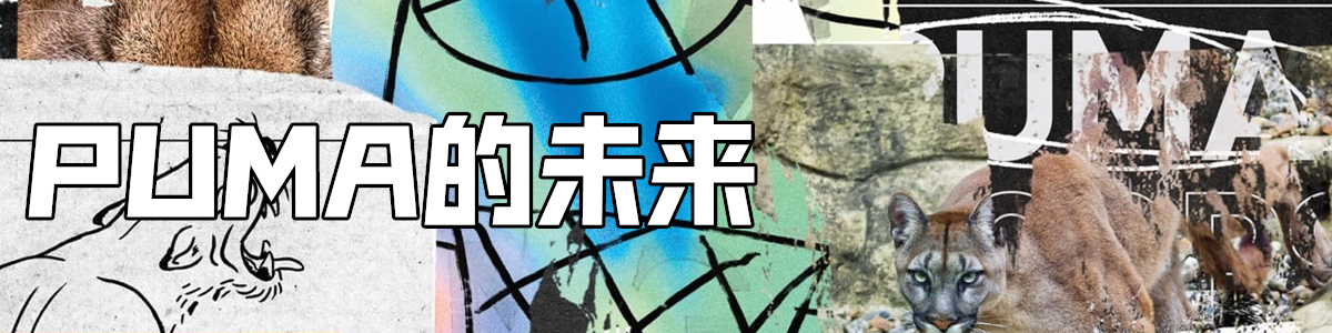 买好看又好穿的实战鞋,我居然会先想到Puma