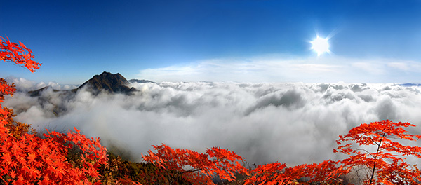 辽宁有个城市叫什么新市,辽宁有个城市叫葫芦岛吗
