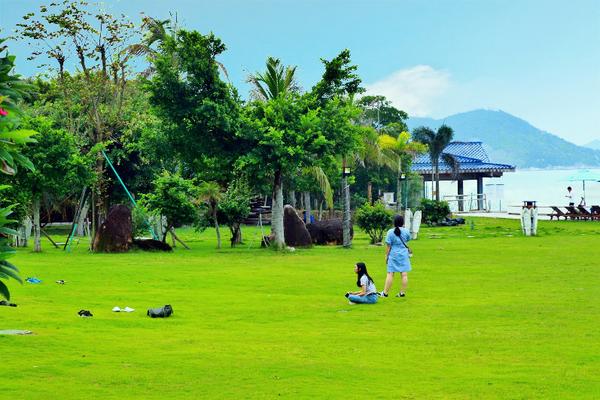 惠州大亚湾黄金海岸有岛吗,惠州金海湾海边在哪里
