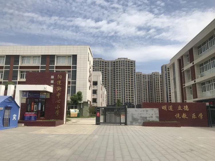 全面了解班级学生,阳逻街中心小学散学典礼